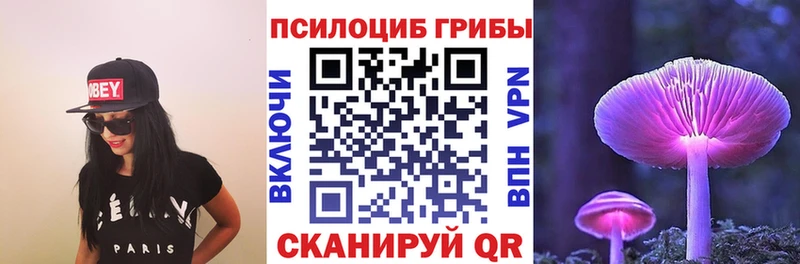 Купить  Кизилюрт  Галлюциногенные грибы Magic Shrooms 